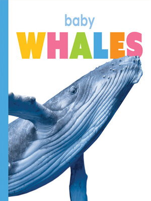 cover image of Baby Whales